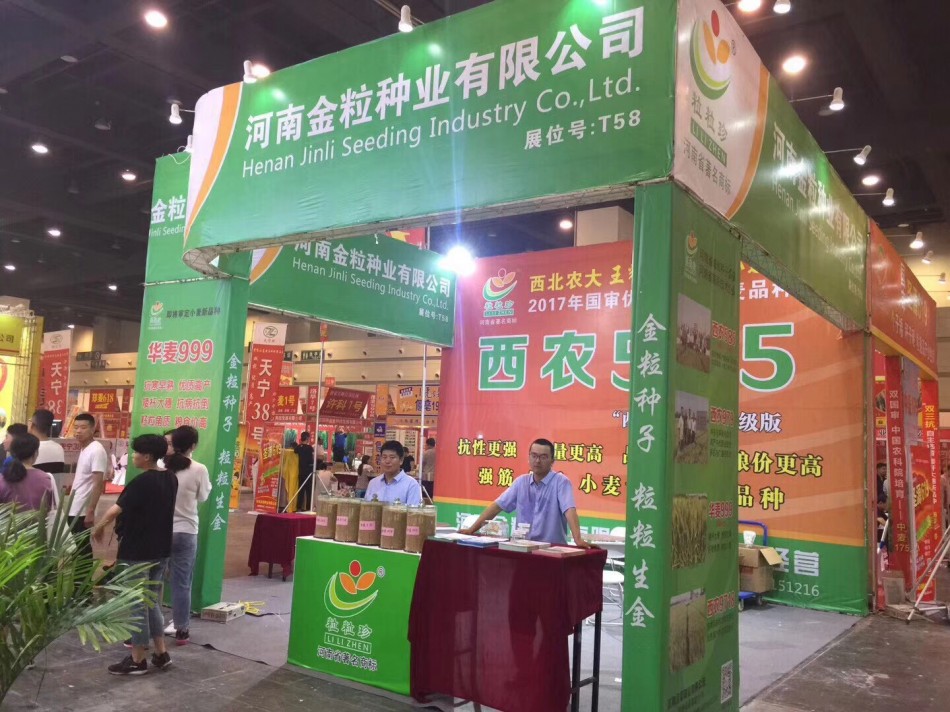 金粒種業